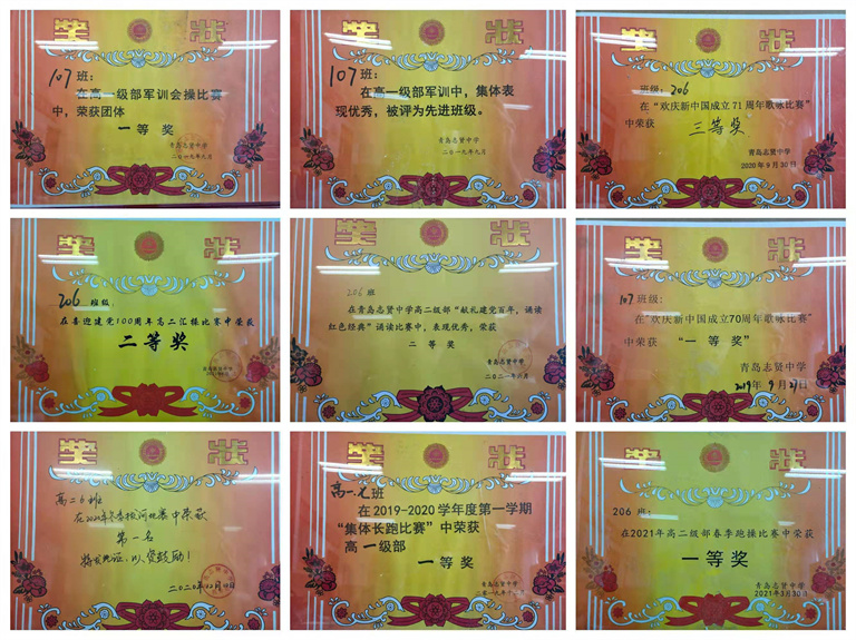 【艺术成就梦想 学习铸就辉煌】 - 记青岛志贤中学美术专业优秀教师杨健