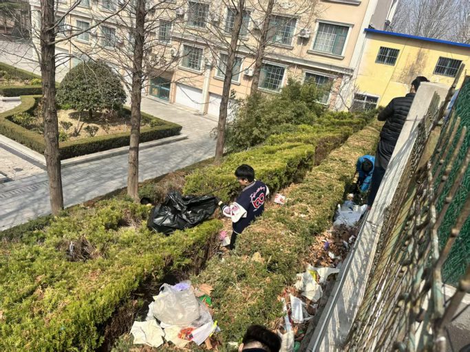 【班级榜样】以青春之力，筑班级之光——记青岛志贤中学高一（一）班优秀班委团队