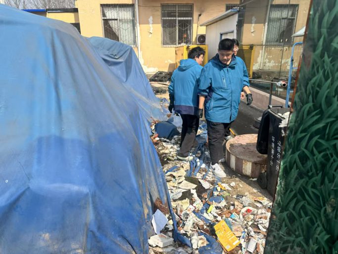 【班级榜样】以青春之力，筑班级之光——记青岛志贤中学高一（一）班优秀班委团队