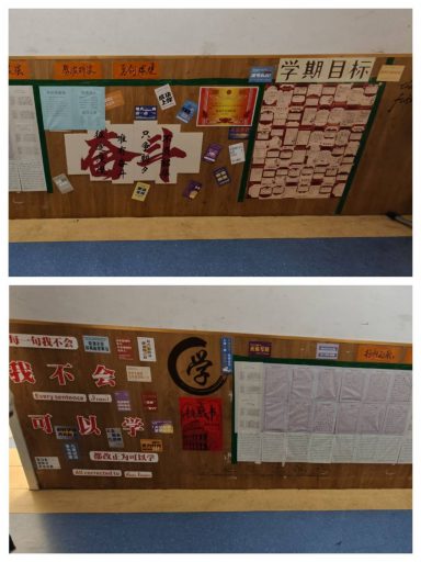 守一树花开 候万千星光——青岛志贤中学优秀班主任郑万鹏