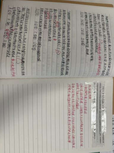 聚力同行，逐光而上——青岛志贤中学高一七班优秀学习小组成长纪实